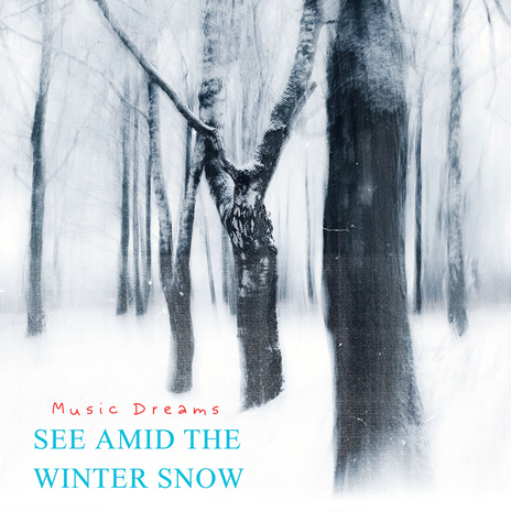 See Amid the Winter Snow | Boomplay Music