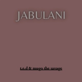 Jabulani