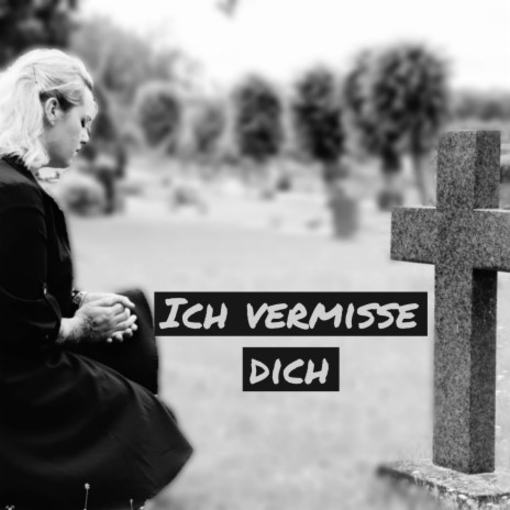 Ich vermisse dich (Radio Edit) | Boomplay Music