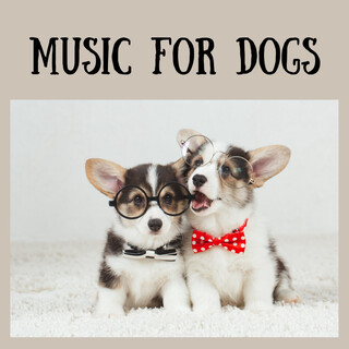 Music For Dogs