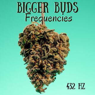 432 Hz Bigger Buds Frequencies: Solfeggio Frequency for Cannabis Growth