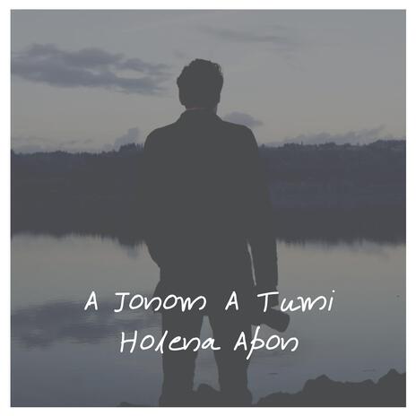 A Jonom A Tumi Holena Apon | Boomplay Music