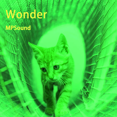 Wonder | Boomplay Music