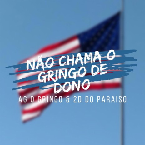 NÃO CHAMA O GRINGO DE DONO ft. DJ 2D DO PARAISO