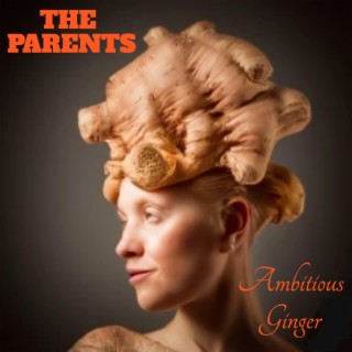 Ambitious Ginger lyrics | Boomplay Music