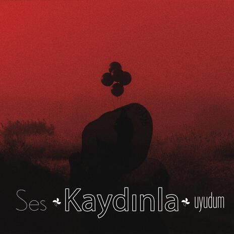 Ses Kaydınla Uyudum | Boomplay Music