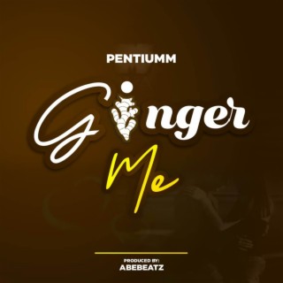 Ginger Me lyrics | Boomplay Music