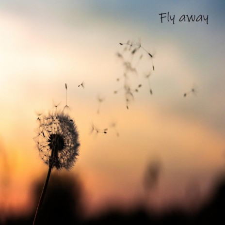 Fly Away | Boomplay Music