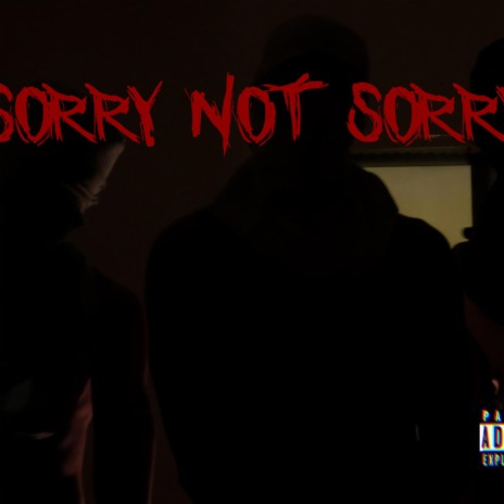 Sorry Not Sorry | Boomplay Music