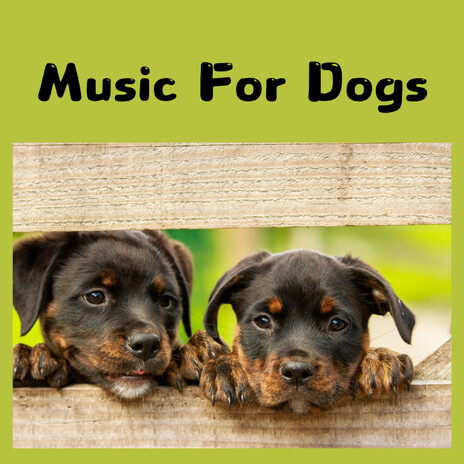 Peaceful Dog ft. Music For Dogs Peace, Relaxing Puppy Music & Calm Pets Music Academy | Boomplay Music