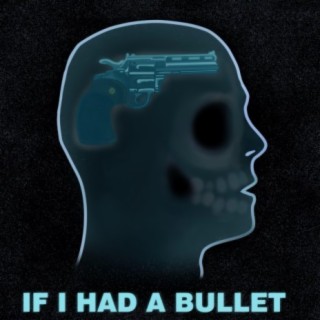 If I had a bullet