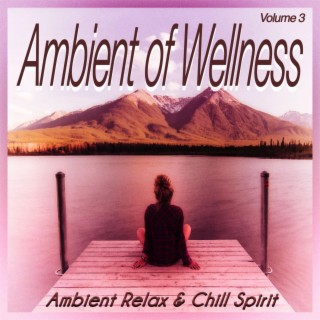Ambient of Wellness, Vol. 3 - Ambient Relax & Chill Spirit