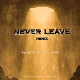 Never Leave (remix)