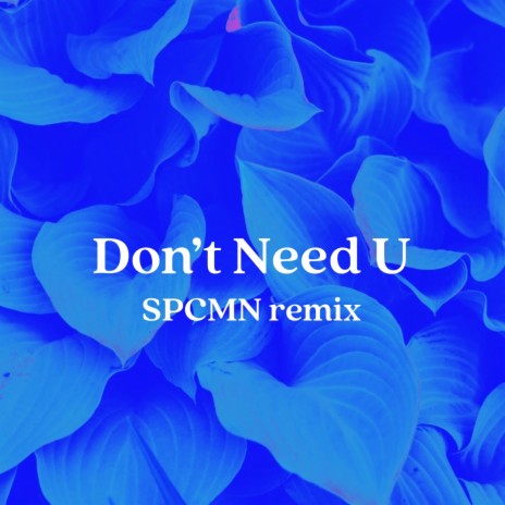 Don't Need U (SPCMN Remix) | Boomplay Music