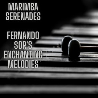 Marimba Serenades: Fernando Sor's Enchanting Melodies