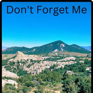 Don't Forget Me