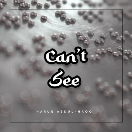 Can't See ft. Ammar Acapella & Malik Adam | Boomplay Music