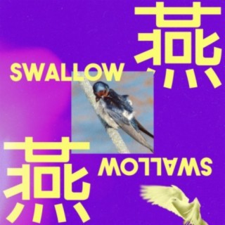 Swallow EP