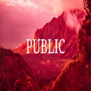 Public (feat. Heartzbeats)