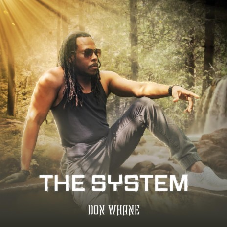 The System | Boomplay Music