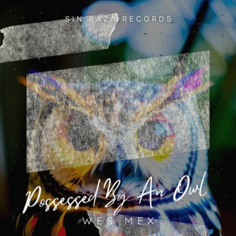 Possessed By An Owl | Boomplay Music