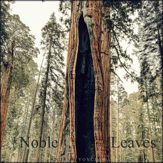 Noble Leaves