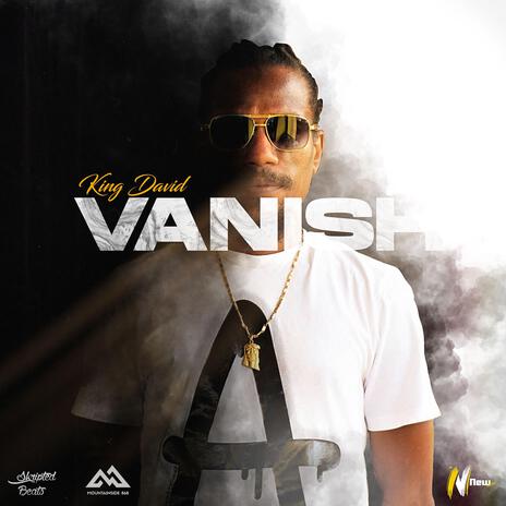 Vanish ft. King David | Boomplay Music