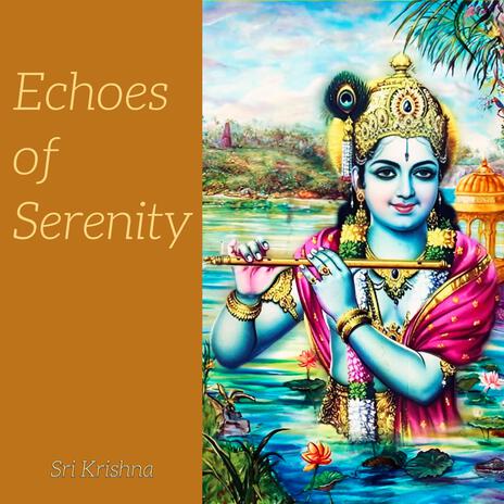 Echoes of Serenity | 07 | Boomplay Music