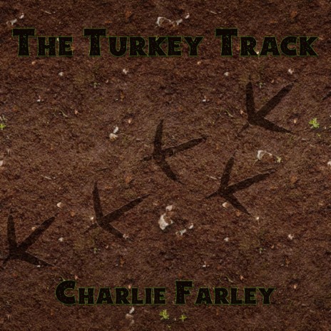 The Turkey Track | Boomplay Music