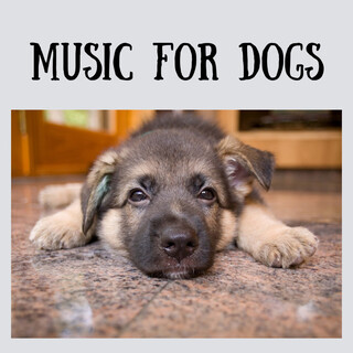 Music For Dogs