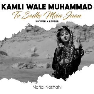 Kamli Wale Muhammad To Sadke Mein Jaan (Lofi-Mix)