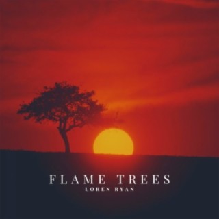 Flame Trees