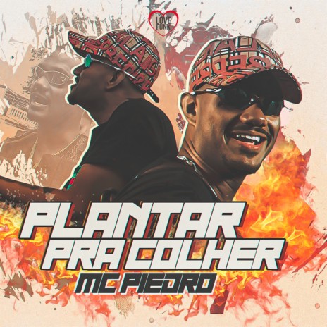 Plantar pra Colher | Boomplay Music