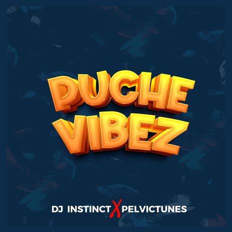 PUCHE VIBEZ ft. PelvicTunes | Boomplay Music