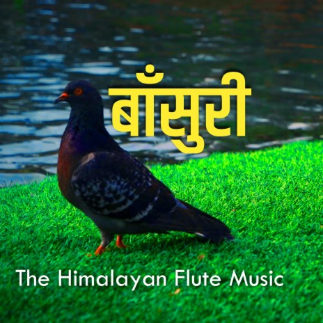 Morning Flute Music | The Himalayan Flute Music | Relaxing Flute Music | Boomplay Music