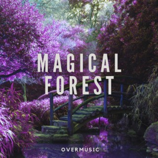 Magical Forest