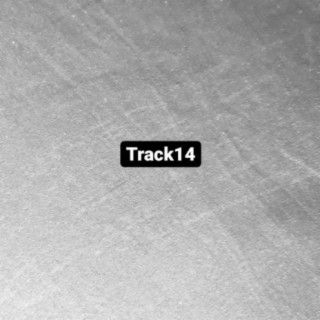 Track 14