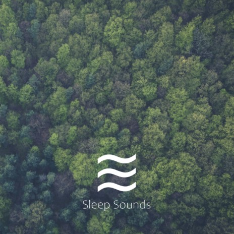 Shusher Raining Noises for Placid Sleep | Boomplay Music