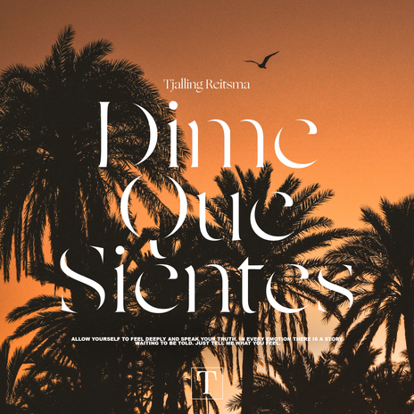 Dime Que Sientes ft. Zaira | Boomplay Music