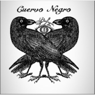 El Cuervo Negro