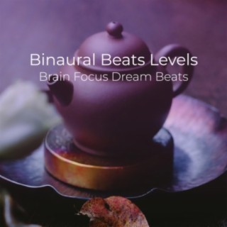 Bin Beats Levels Brain Focus Dream