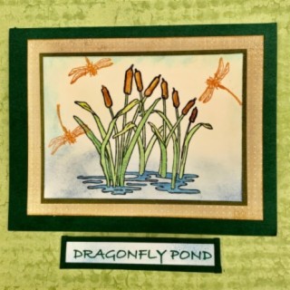 Dragonfly Pond