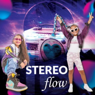 Stereo Flow