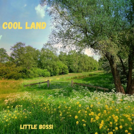 Cool Land