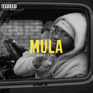 Mula (feat. JXY)