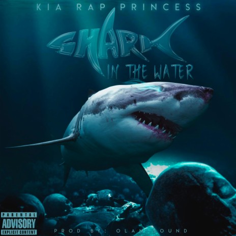 Shark in the Water | Boomplay Music