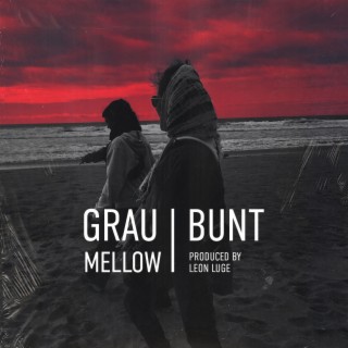 grau/bunt