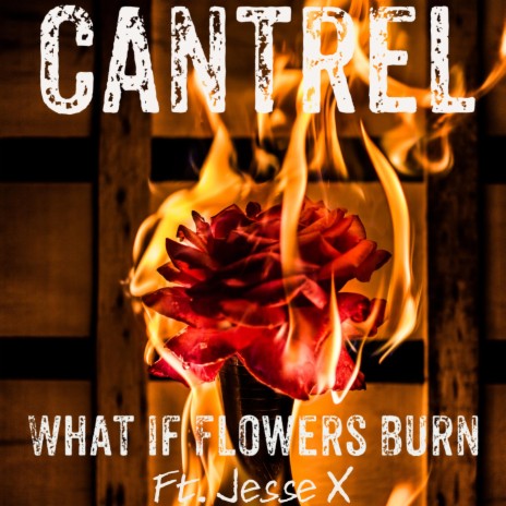 What If Flowers Burn (feat. Jesse X)