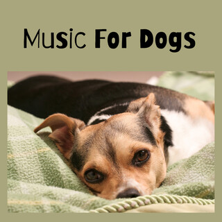 Music For Dogs