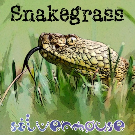 Snakegrass | Boomplay Music